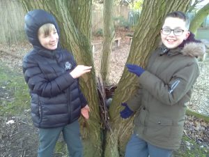 IMG_20170113_135655