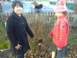 IMG_20170113_135924