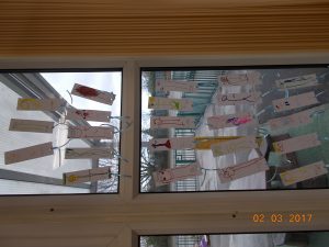 DSCN4737 (1)