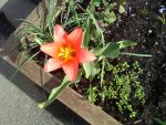 Holy week 3