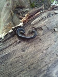 IMG_20170330_144502