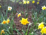 holy week 4