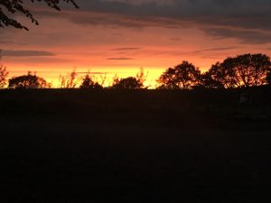 IMG_0792