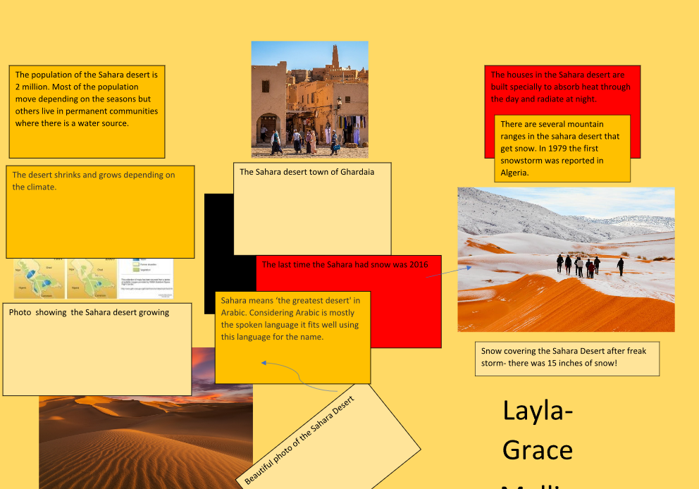 Layla S Fact File Marsden Primary School