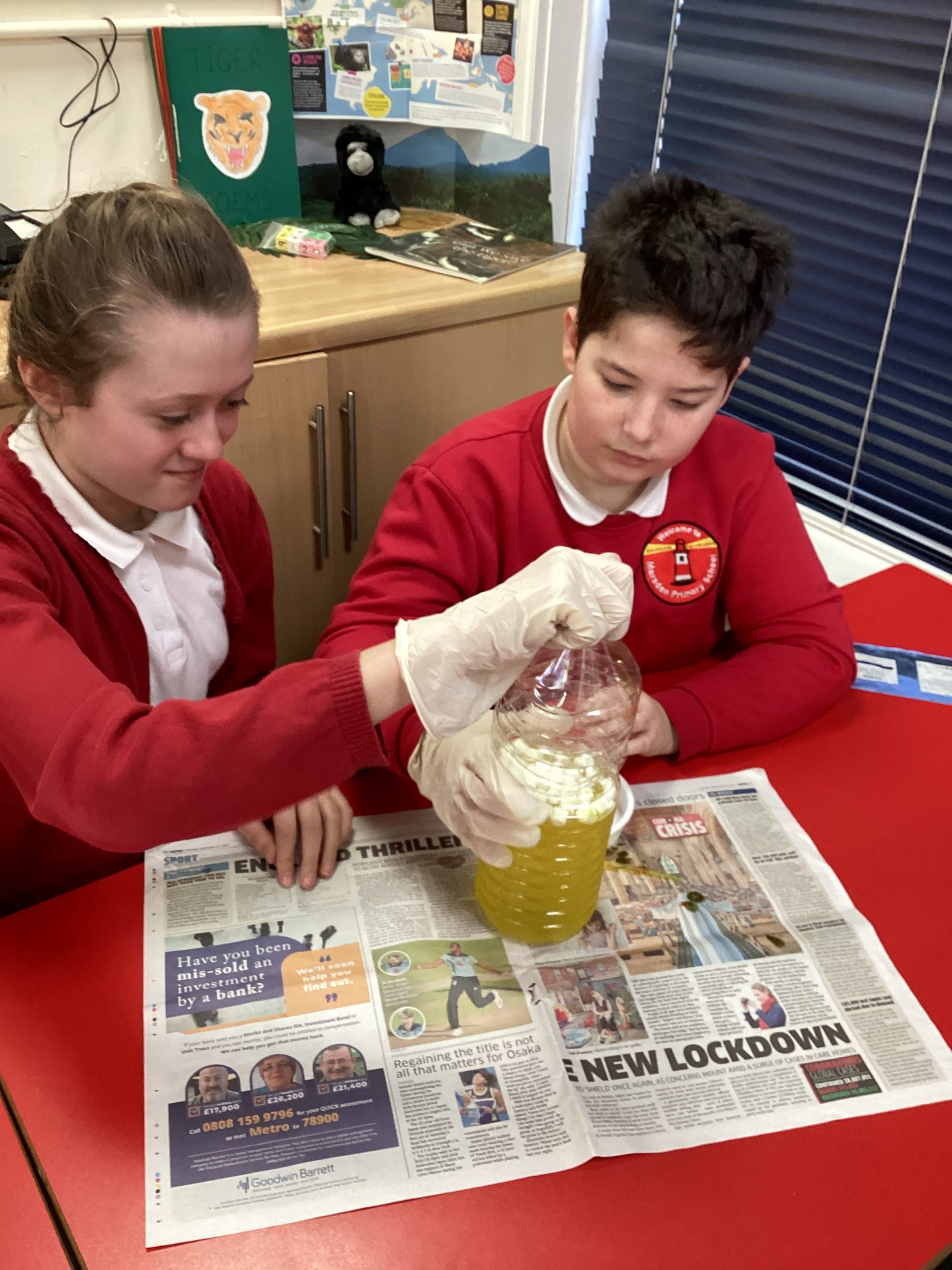 Year 6 Science Marsden Primary School