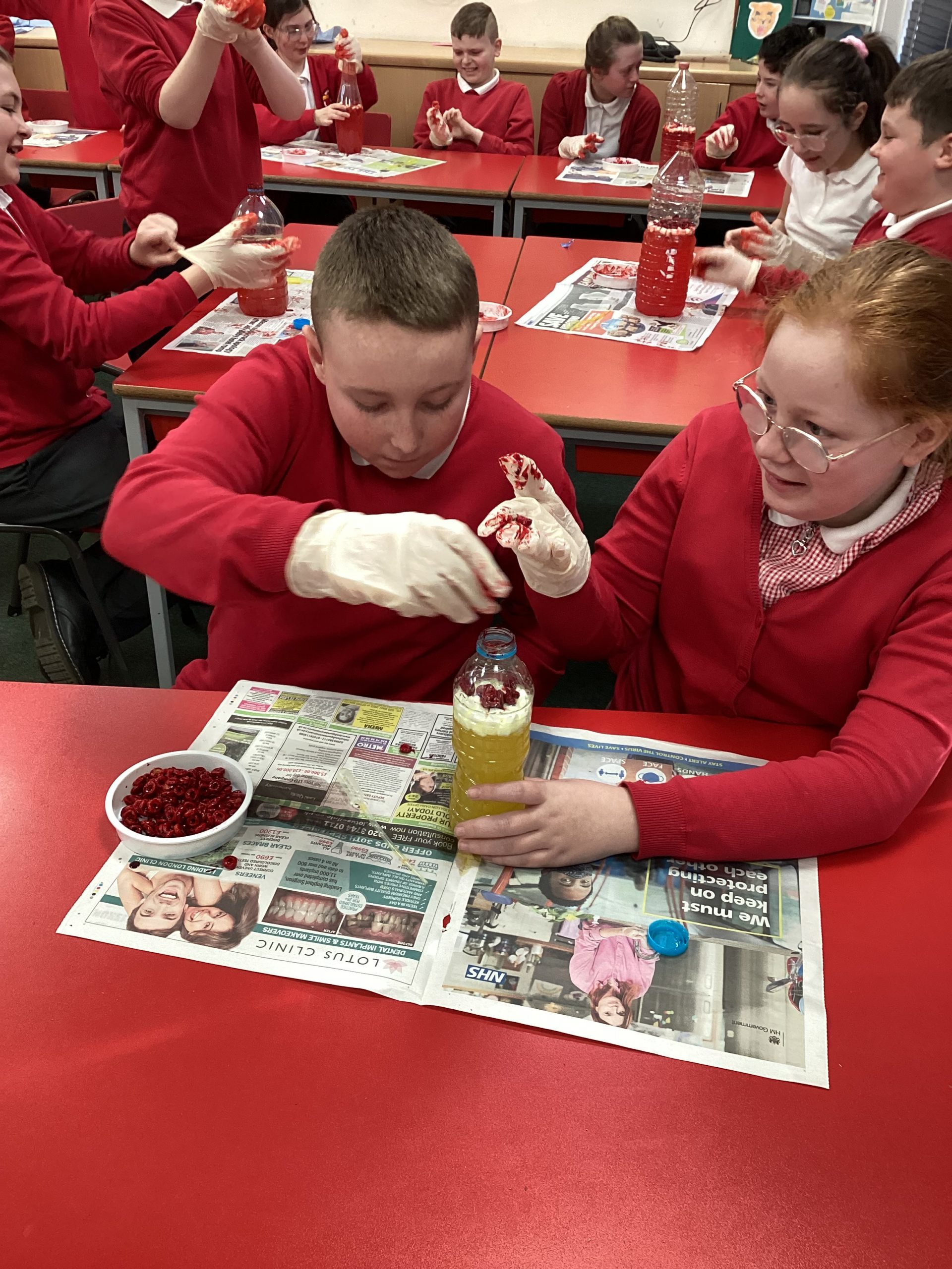 Year 6 Science Marsden Primary School