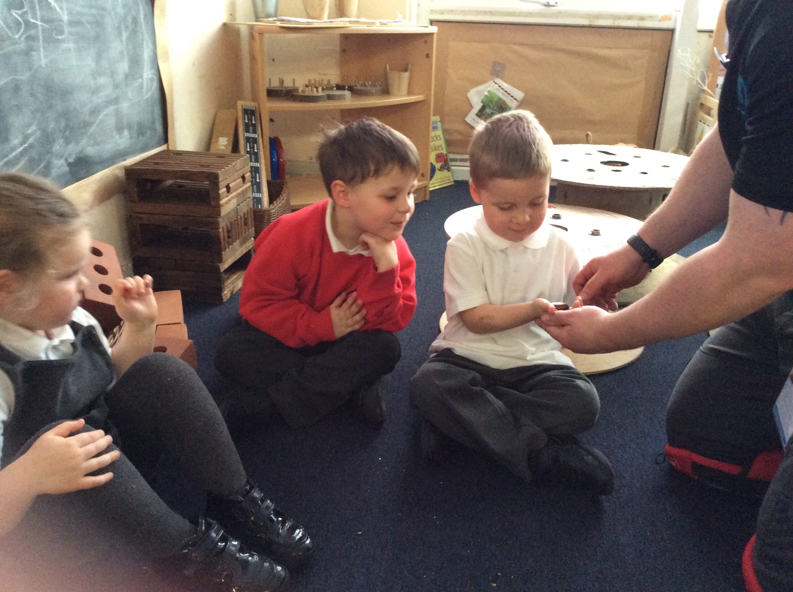 Zoo Lab in EYFS | Marsden Primary School