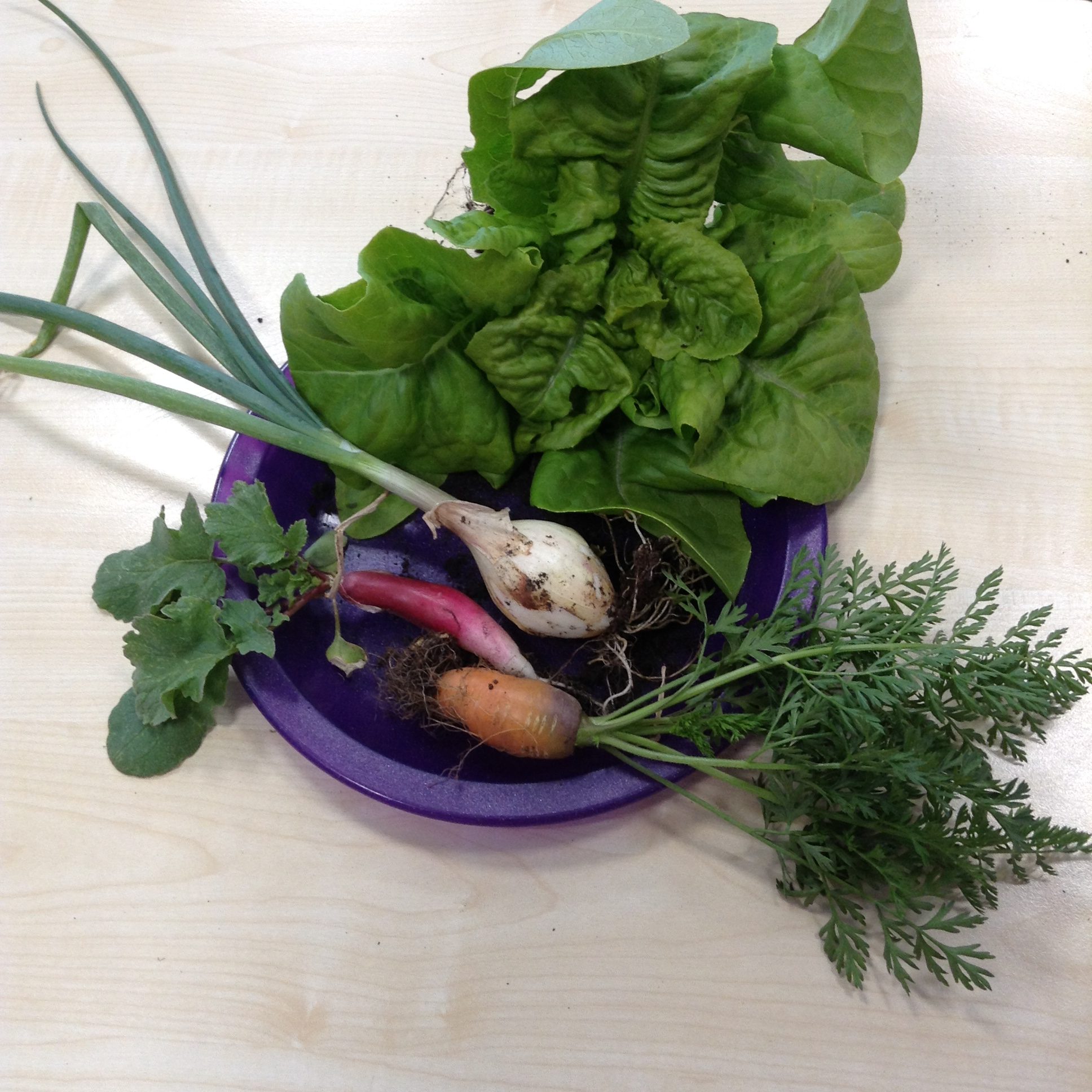 Grow your own healthy food | Harton Primary School