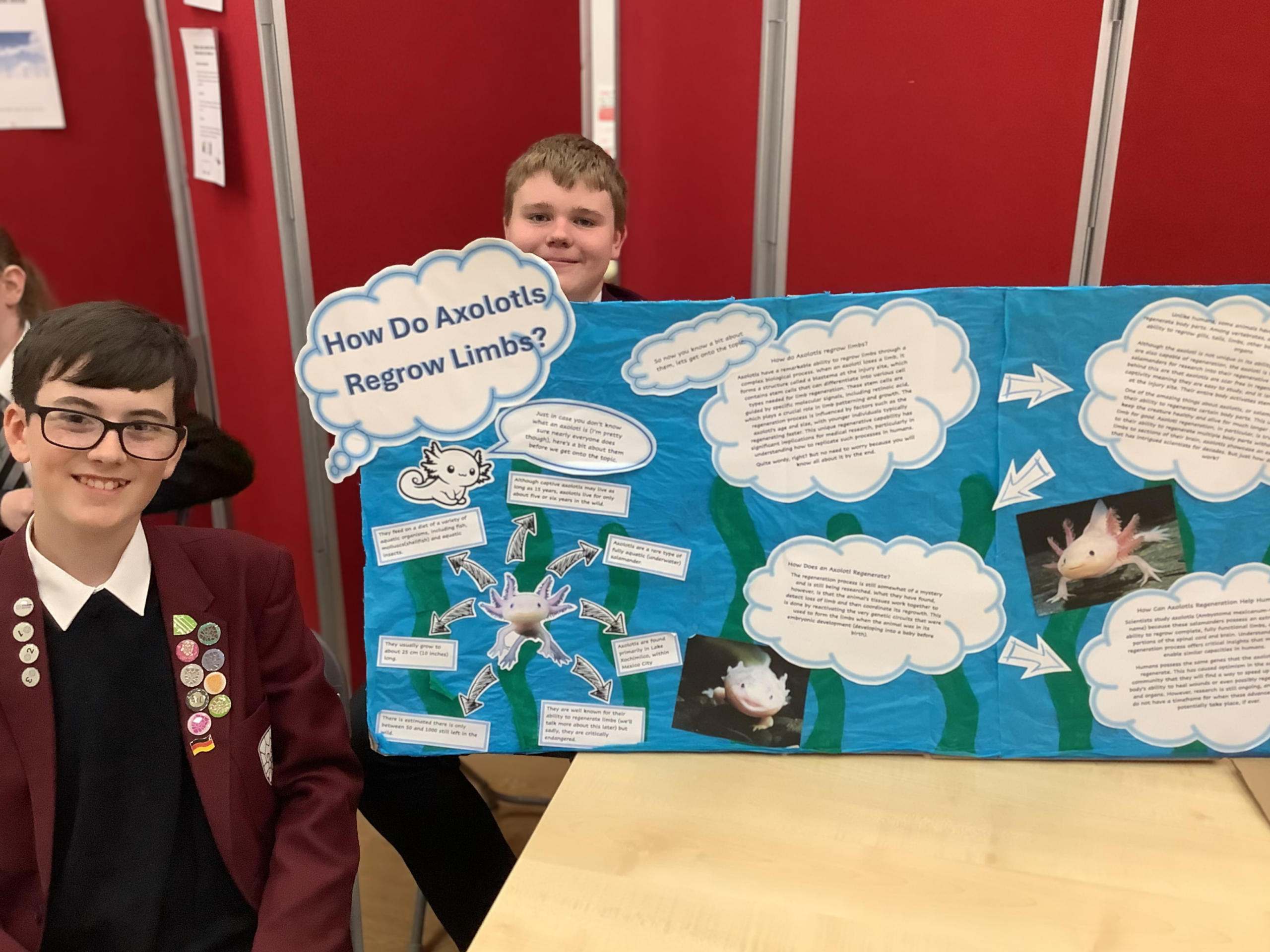 Two Hazel Grove High School students presents their Science Fair project: How do axolotls regrow limbs?