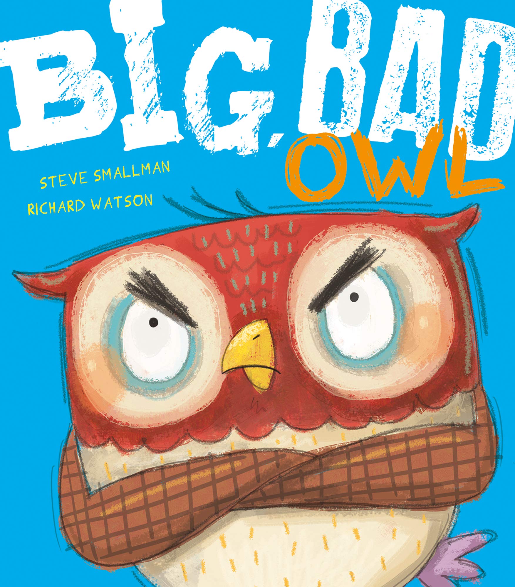 Bid Bad Owl book
