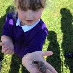 Child holding a snail in their hand
