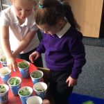 Children with cups of cress