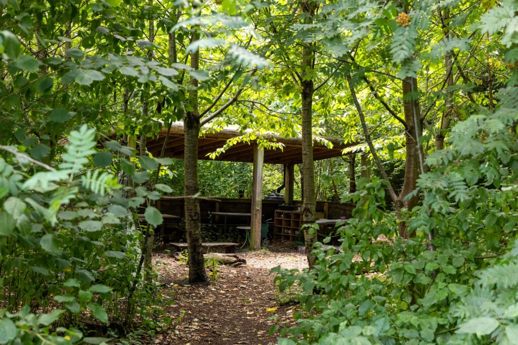 Forest at Norris Bank Primary for outdoor learning.