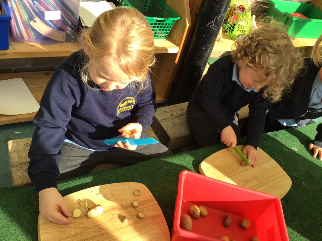 Design & Technology | St Aelred’s Catholic Primary School
