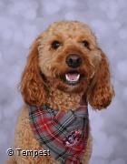 Ralph