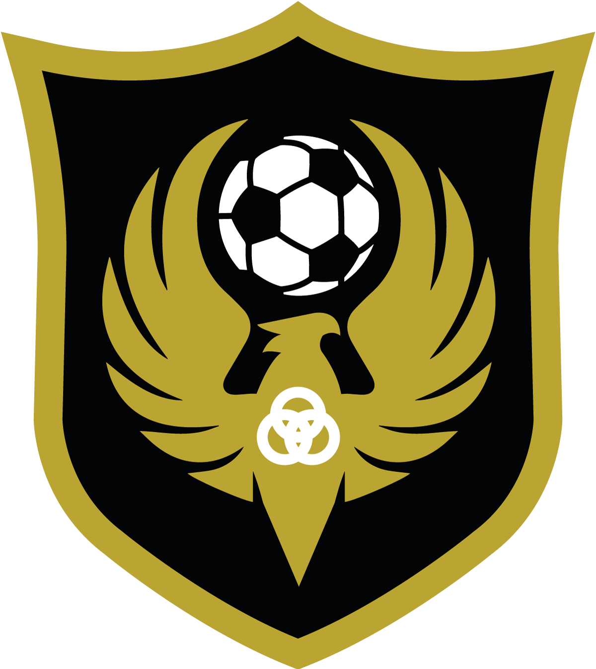 T6 Football Academy Logo