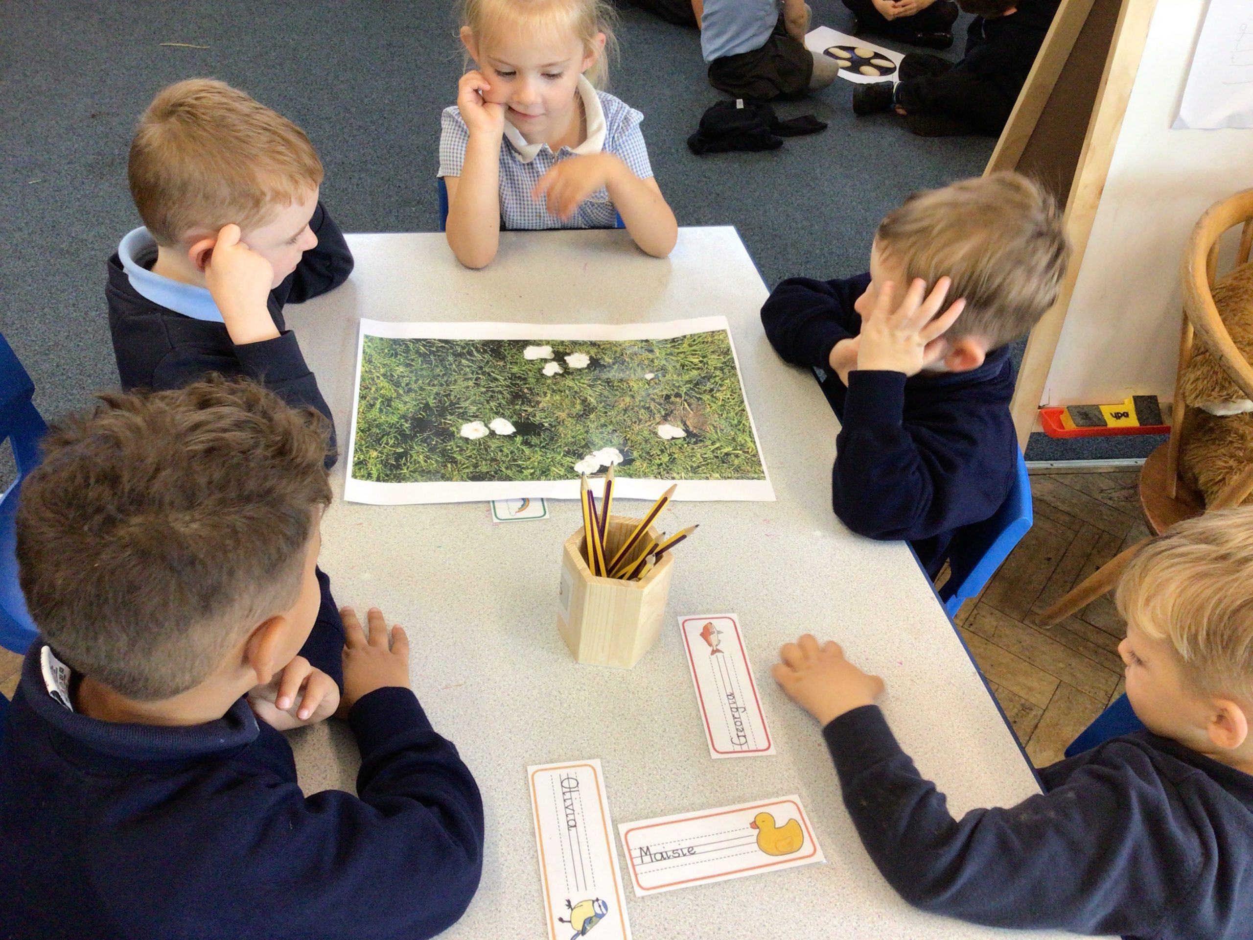 What can you see? Plover School