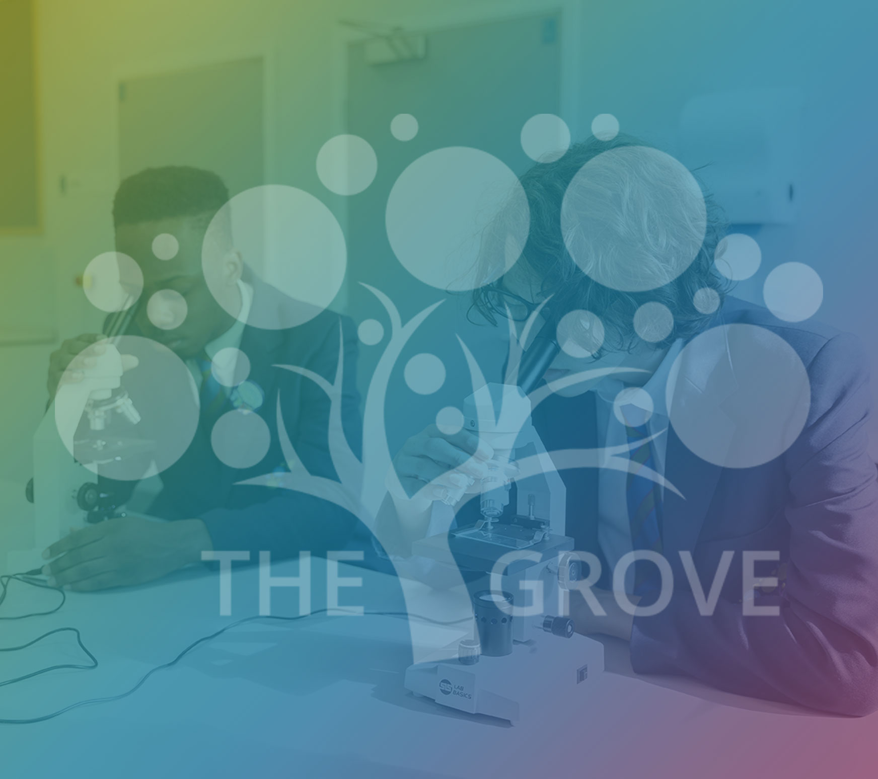 The Grove School Website
