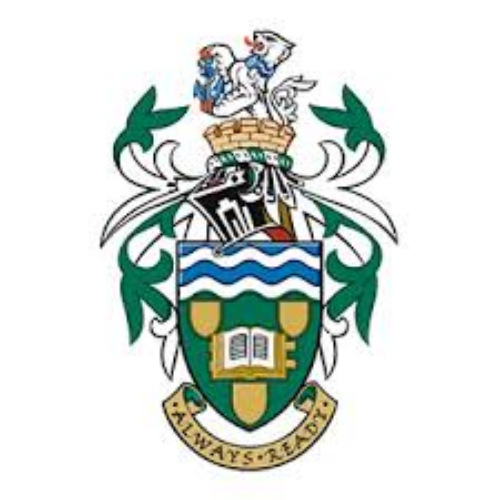 South Tyneside Virtual School's logo