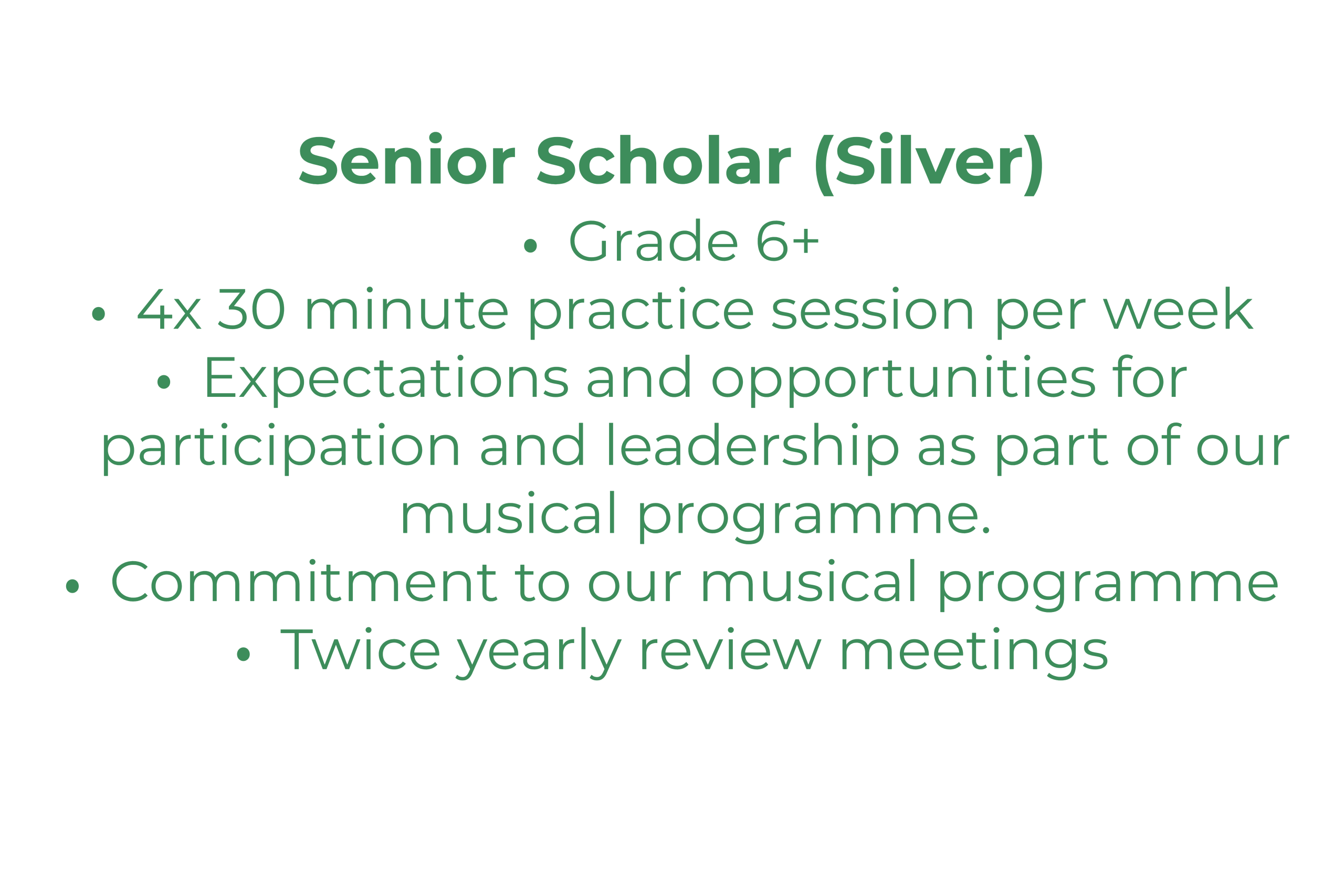 Senior Scholar