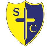 Carol Rodrigues : Chair of Governors