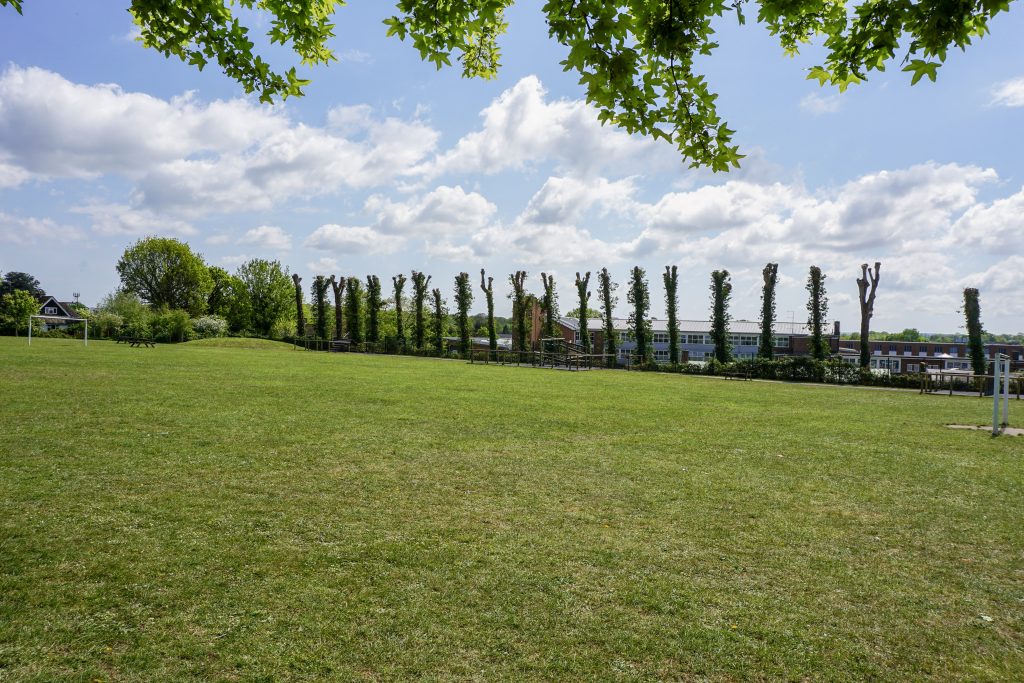 Playing Fields in Billingshurst