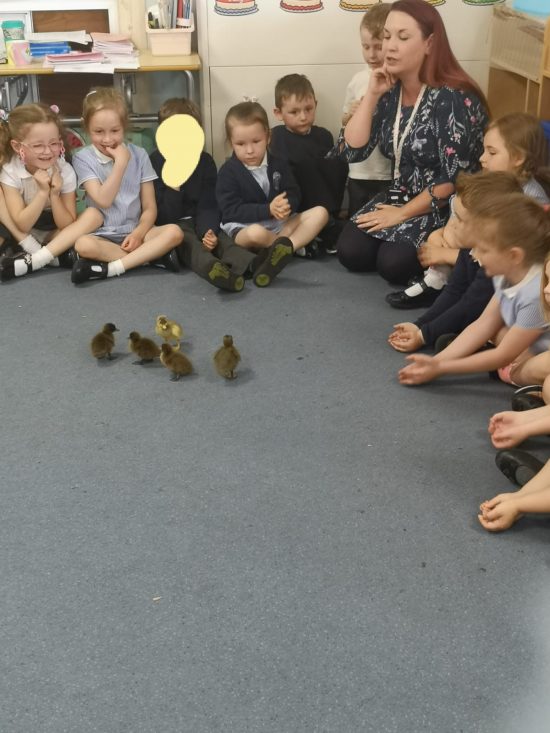 Reception children saying good bye to the ducklings