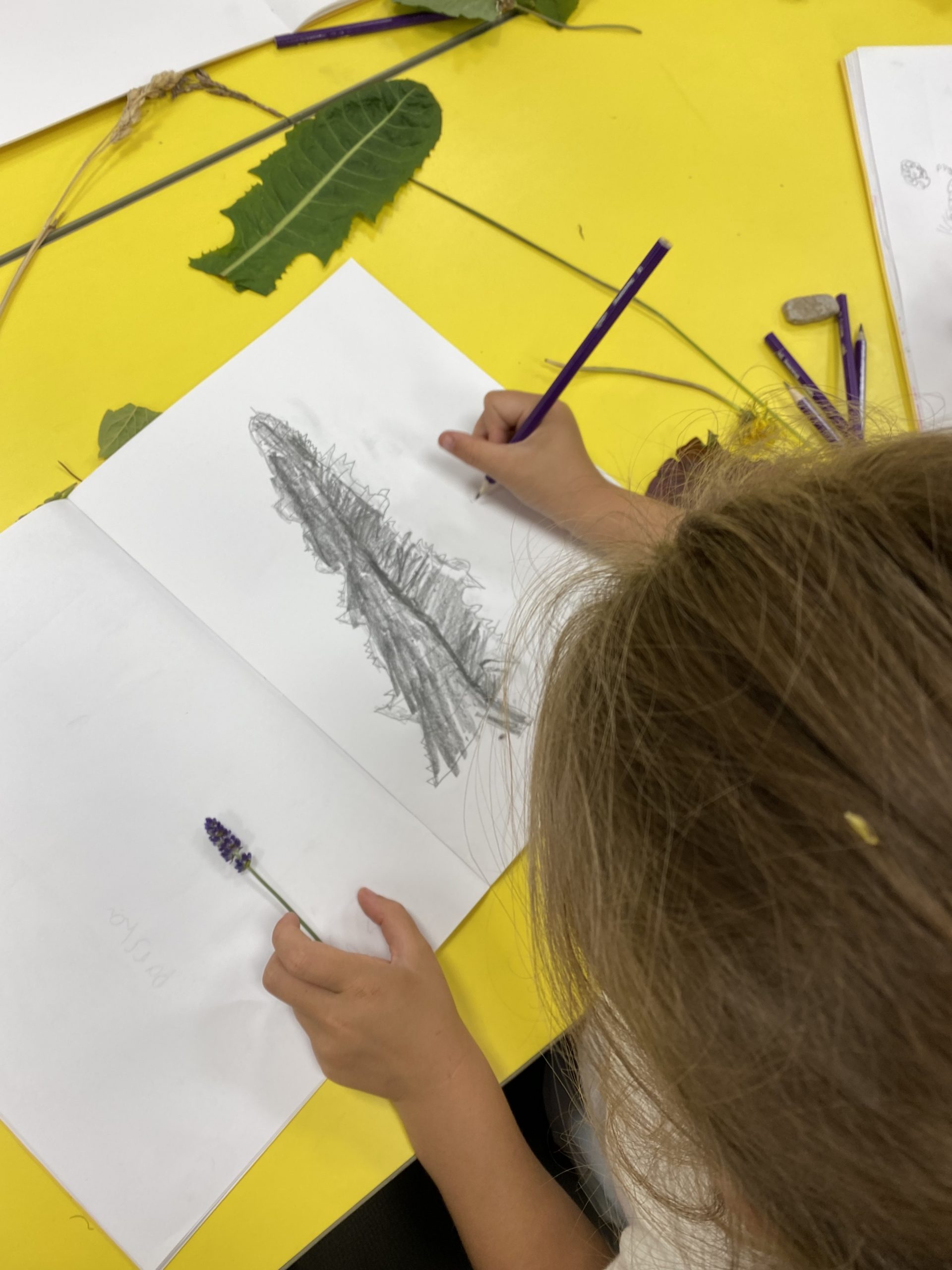 Year 1 children sketching their leaves