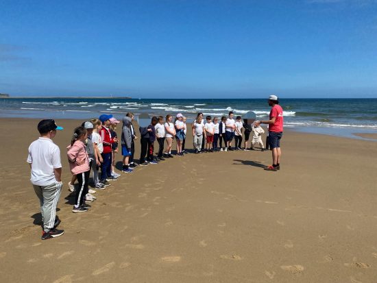 Year 3 rockpooling