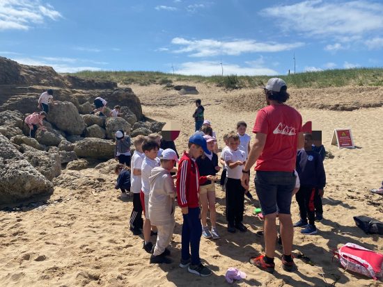 Year 3 rockpooling