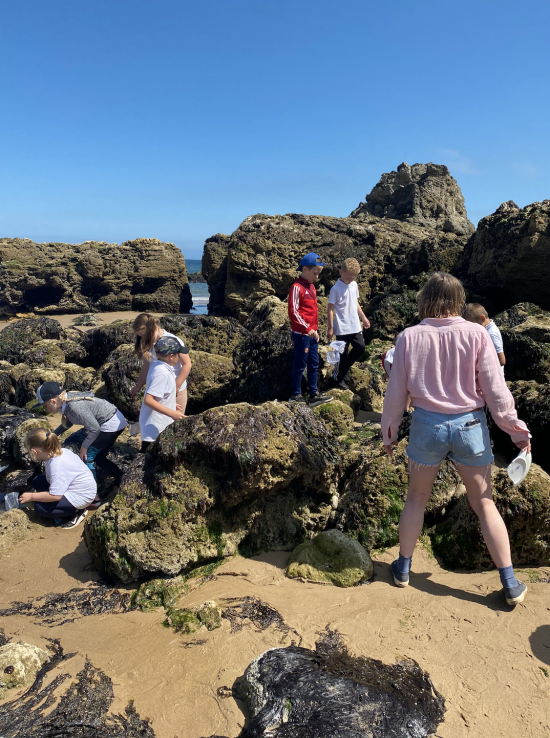 Year 3 rockpooling