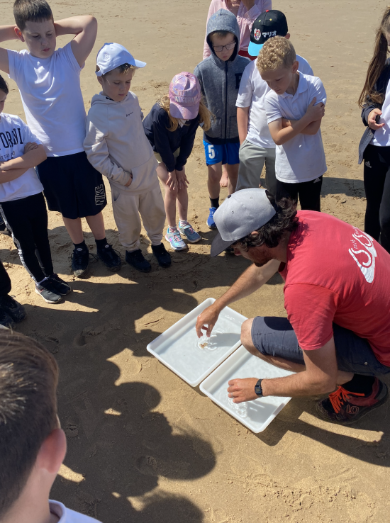 Year 3 rockpooling