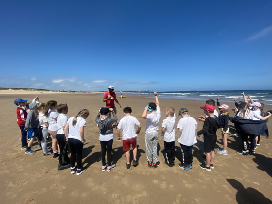 Year 3 rockpooling