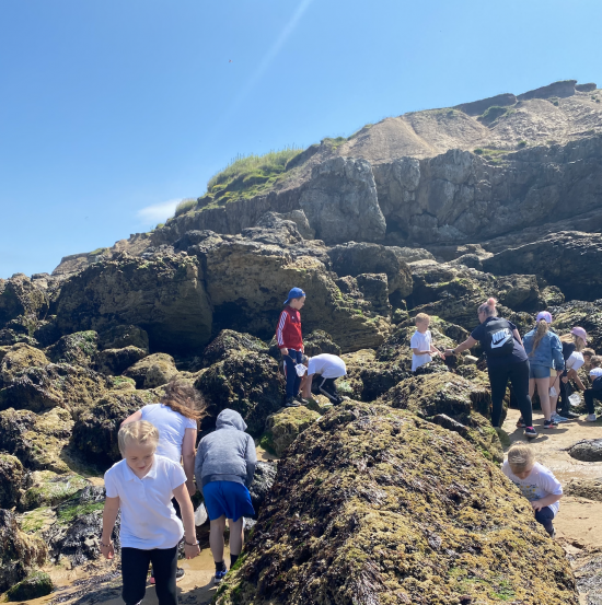 Year 3 rockpooling