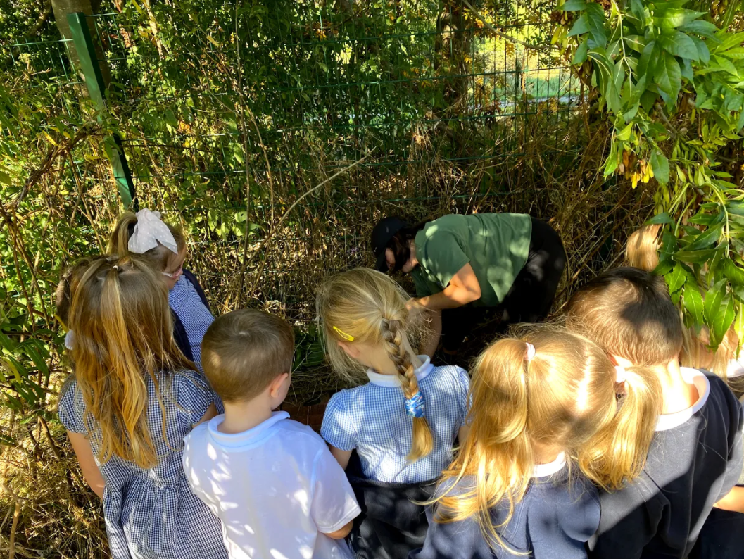 Year 1 enjoying the secret garden