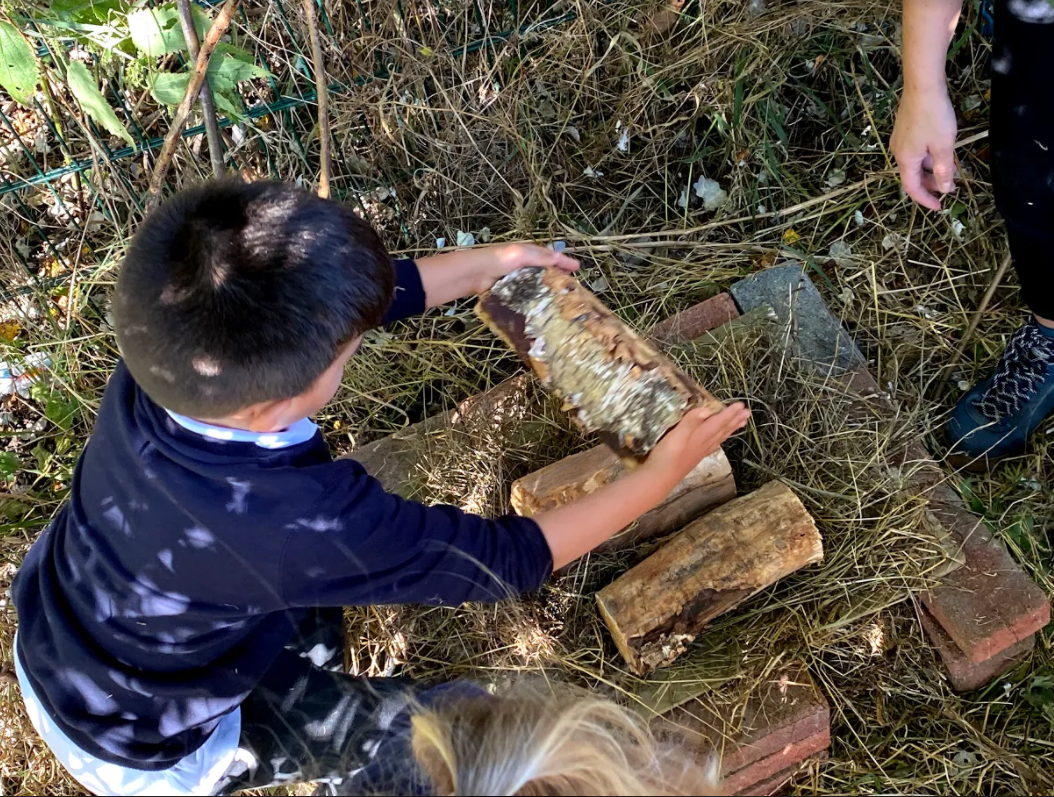 Year 1 enjoying the secret garden