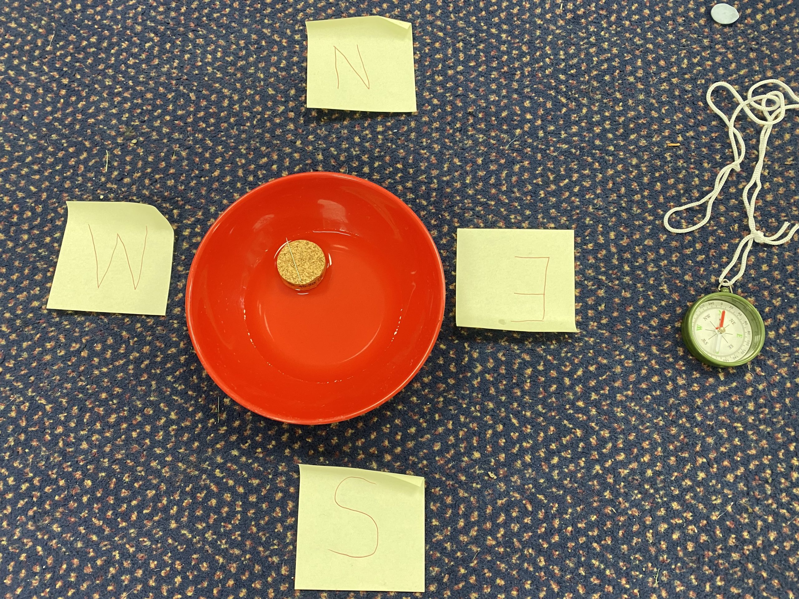 Year 1's compass