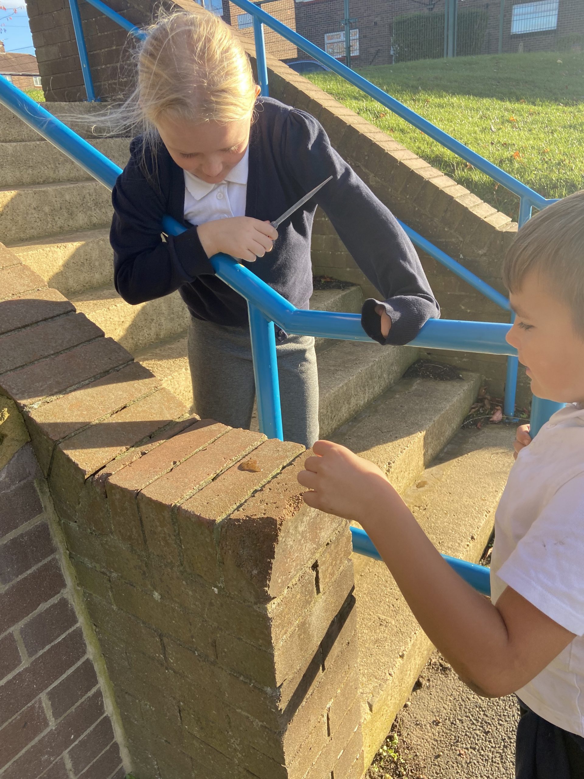 Year 4 investigating different rock types