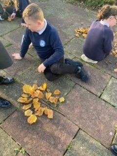 Year 6 children made these leaf pictures!