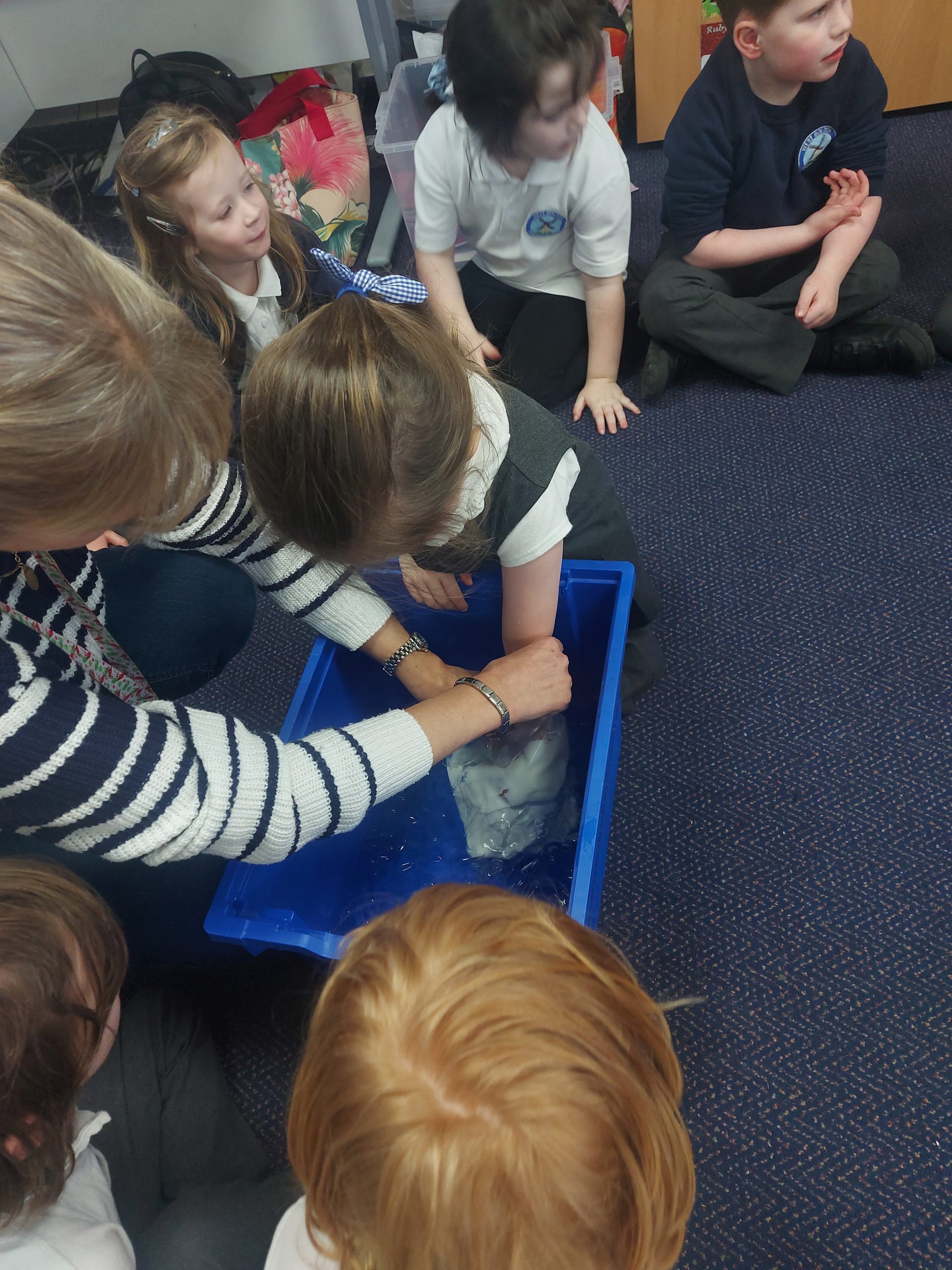 Year 1 children investigating how blubber works