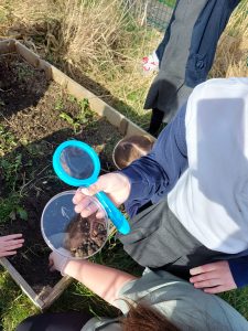 Year 1 children investigating worms in the secret garden