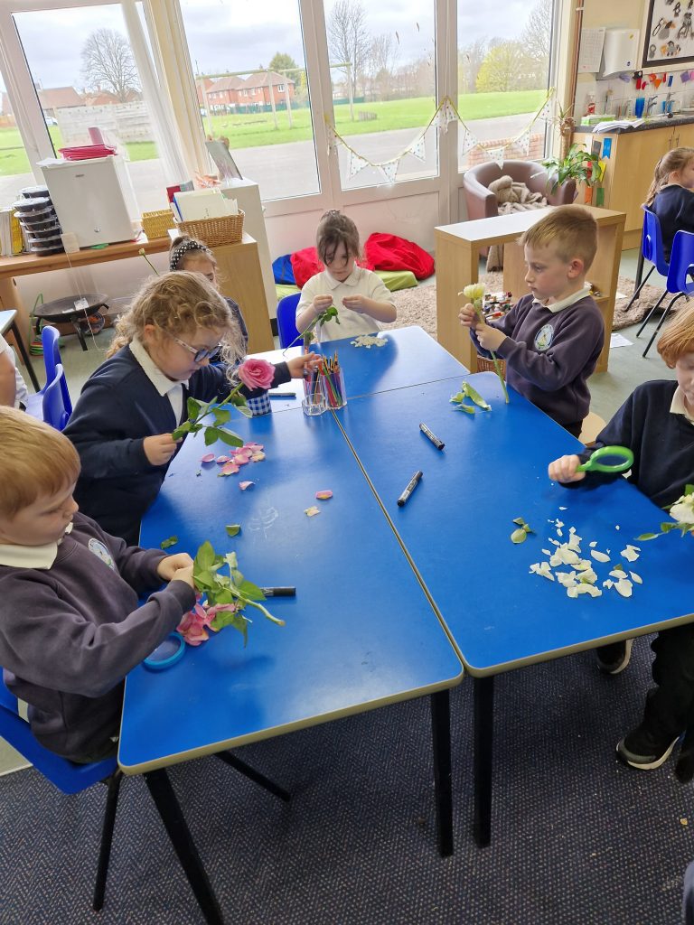 Class 3 working hard in science to identify the parts of a plant