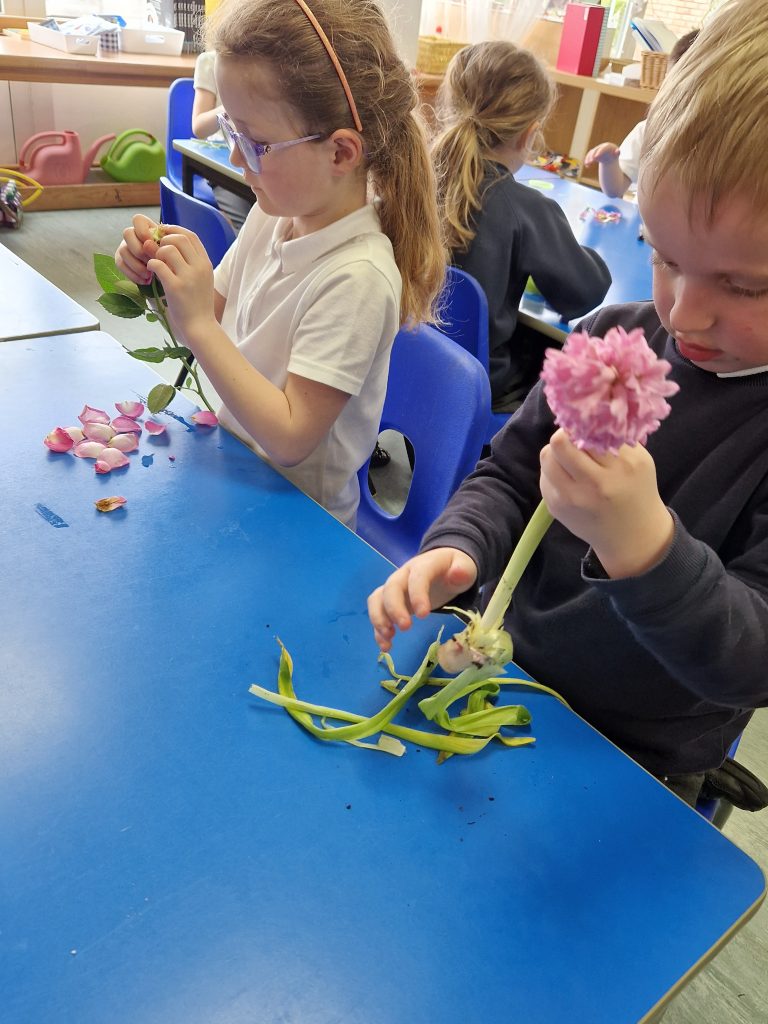 Class 3 working hard in science to identify the parts of a plant