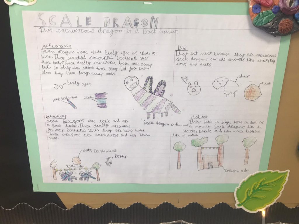Year 4 children's reports on their dragons
