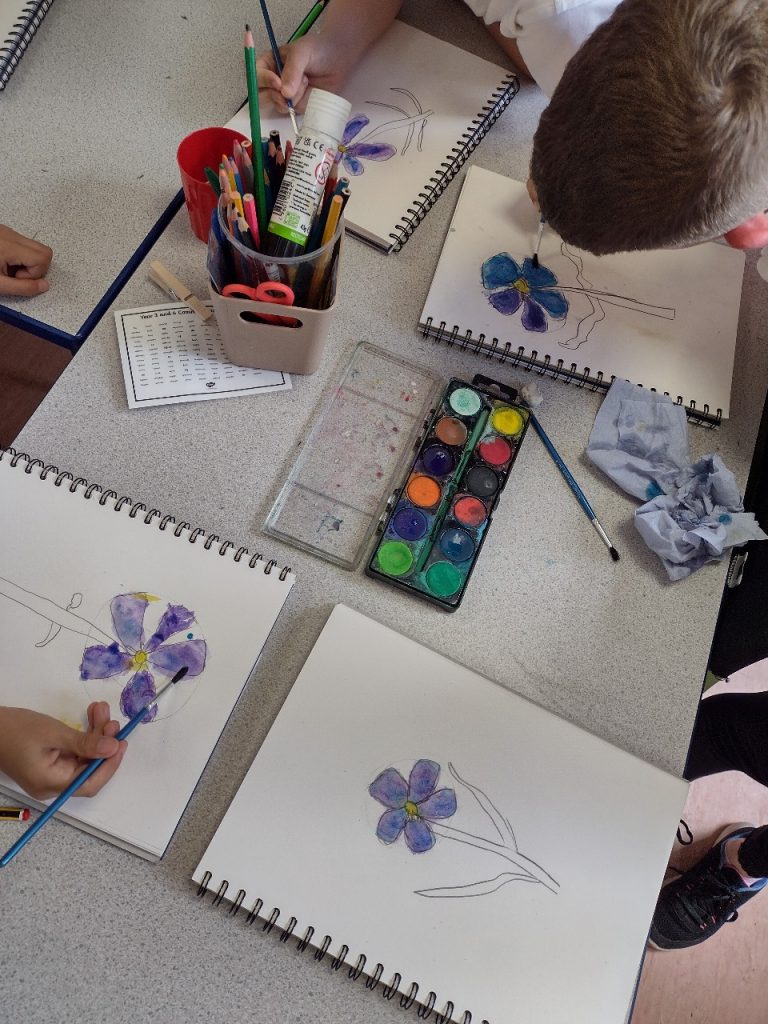 Superbloom Flax Flower drawings from Year 3